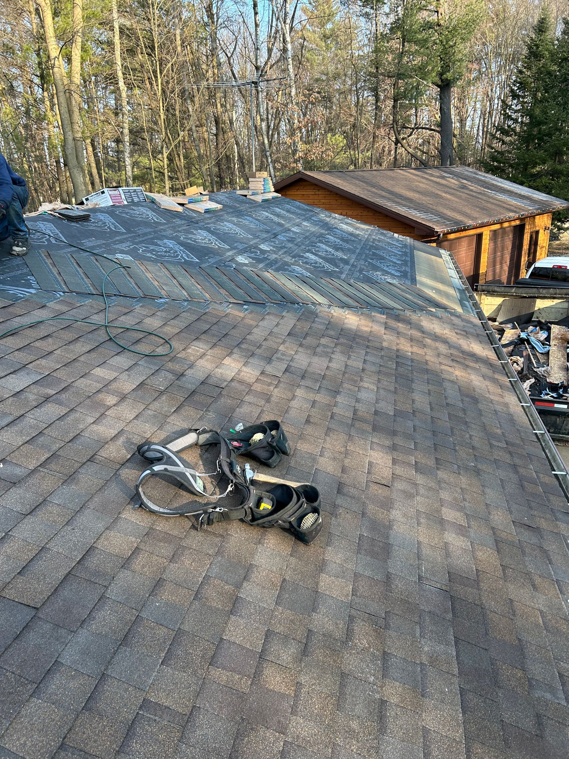 A harness sits on a weathered asphalt shingle roof with a smaller roof and trees in the background.