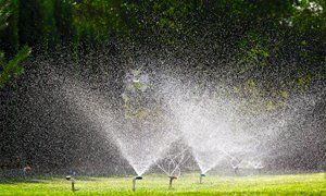 Professional irrigation