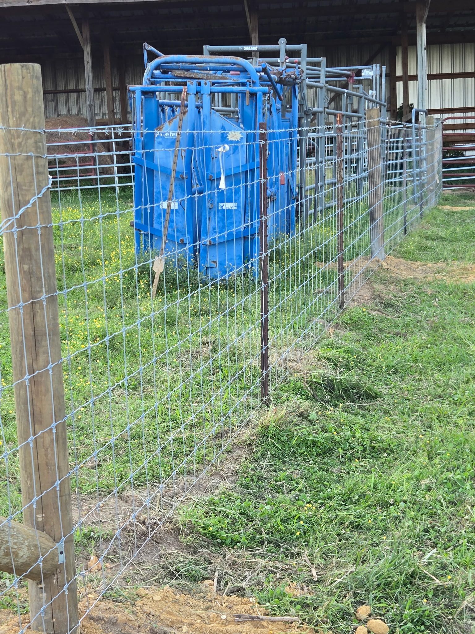 A blue livestock chute sits behind a wire fence in a grassy field, next to a wooden fence post and a barn.