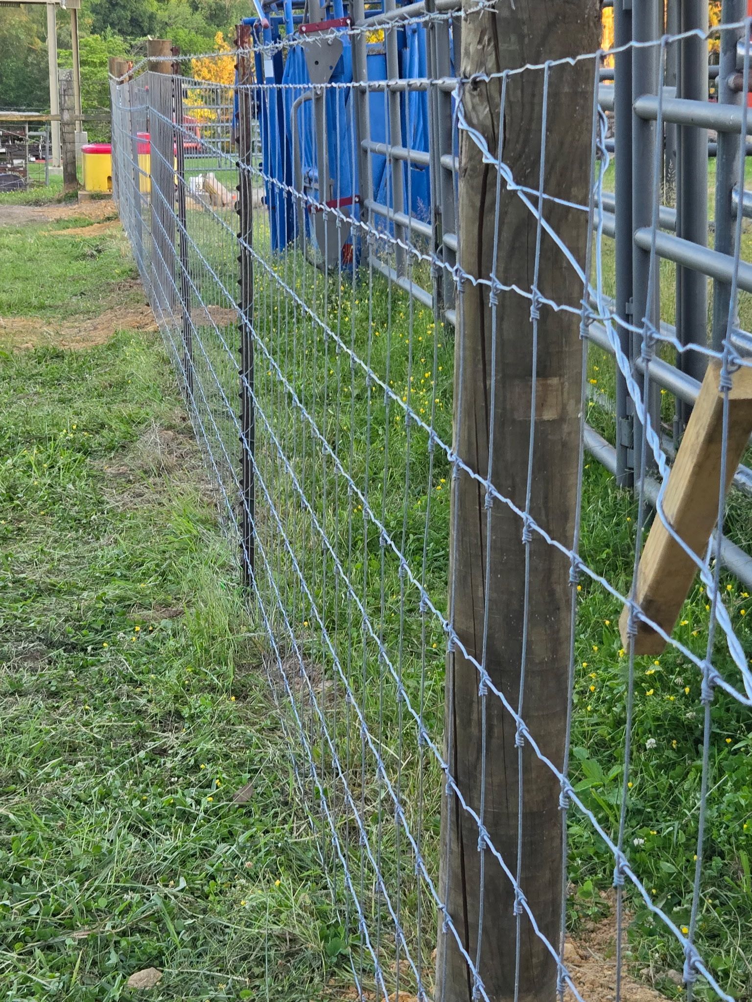 Fence of woven wire with wooden posts next to a metal gate and grassy area.
