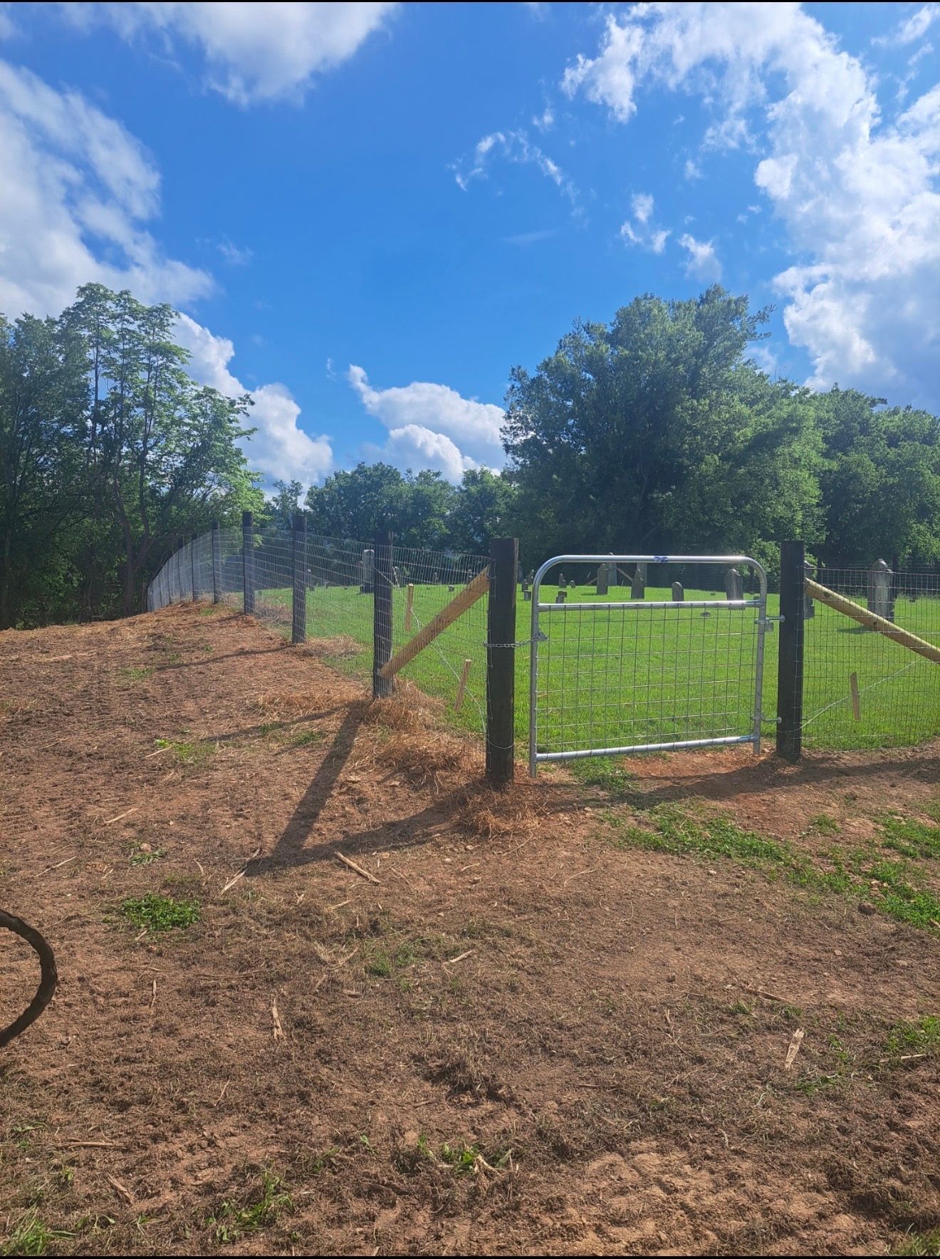 A metal gate and fence in a grassy area with a blue sky and trees.