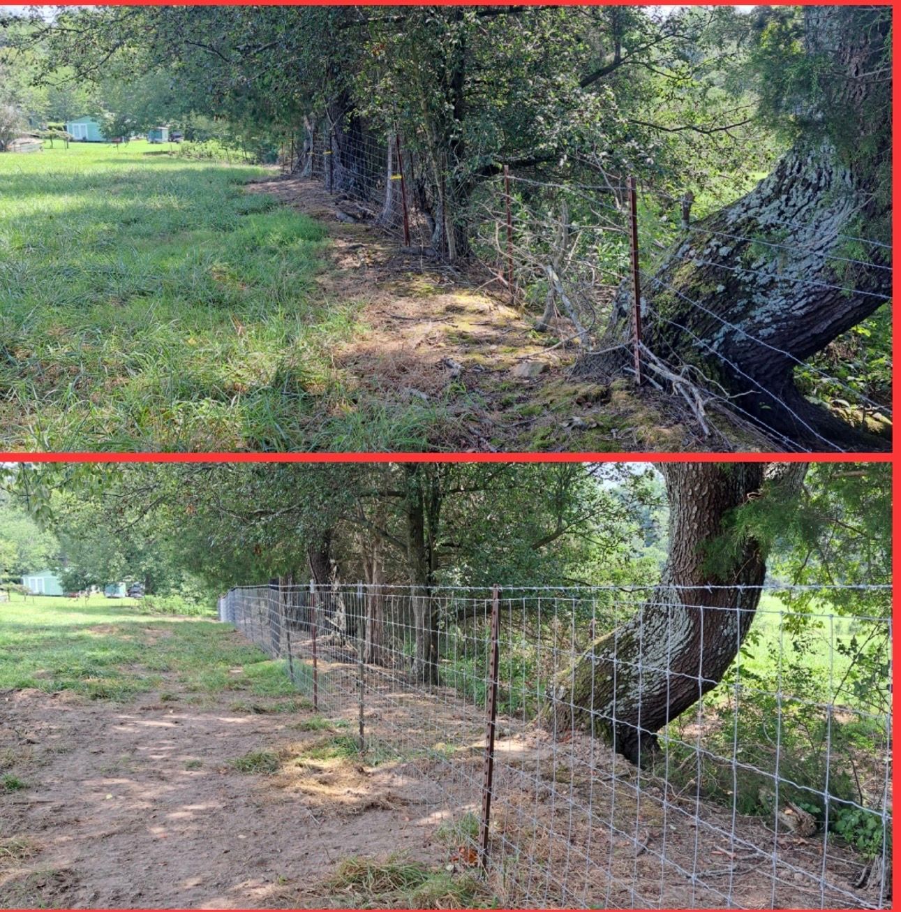 Two photos show a wire fence along trees in a field. The top photo shows the old fence; the bottom shows the new one.