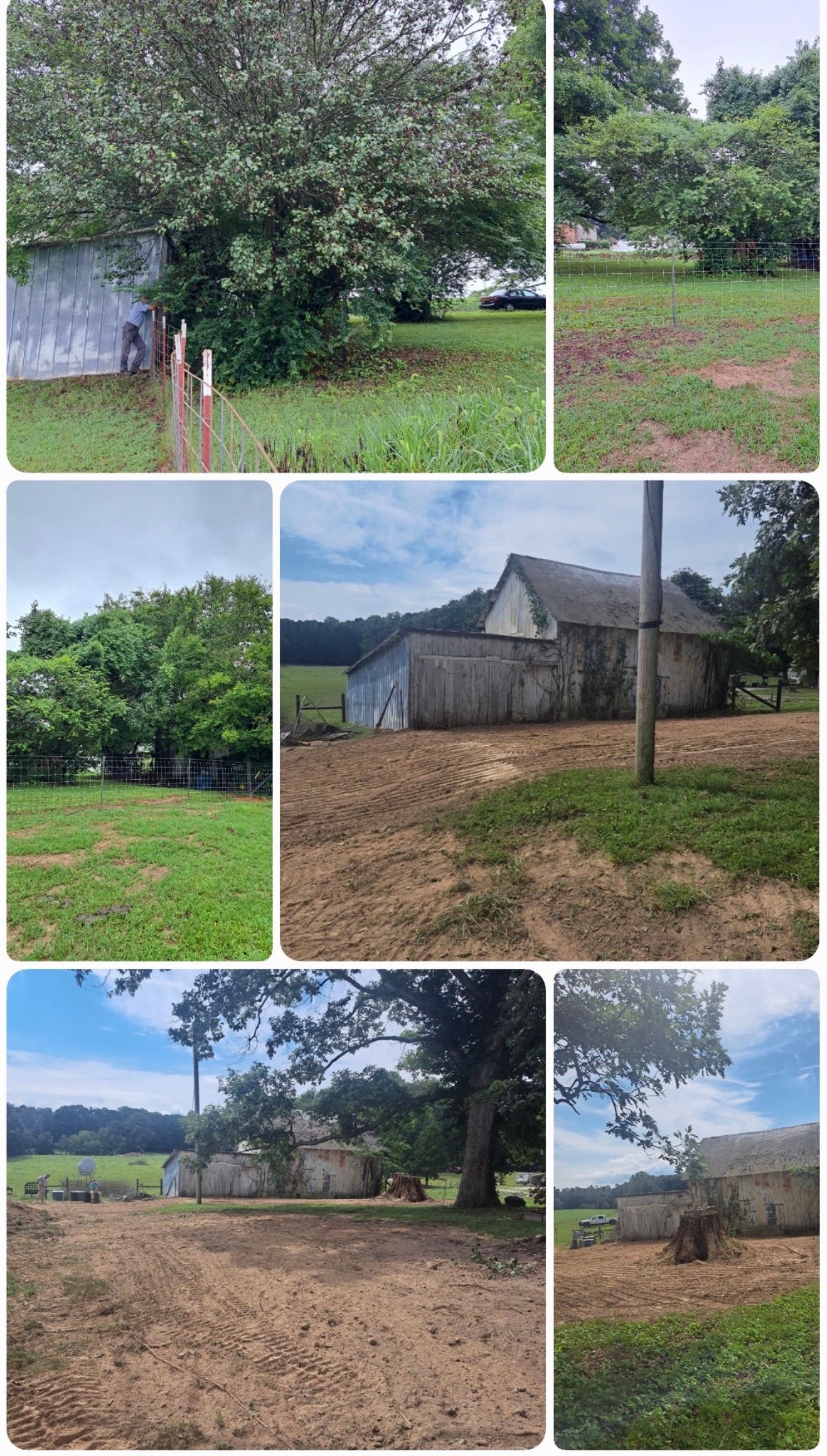 Collage of photos: trees, grassy areas, a white-walled building, and a dirt yard. Blue sky visible.