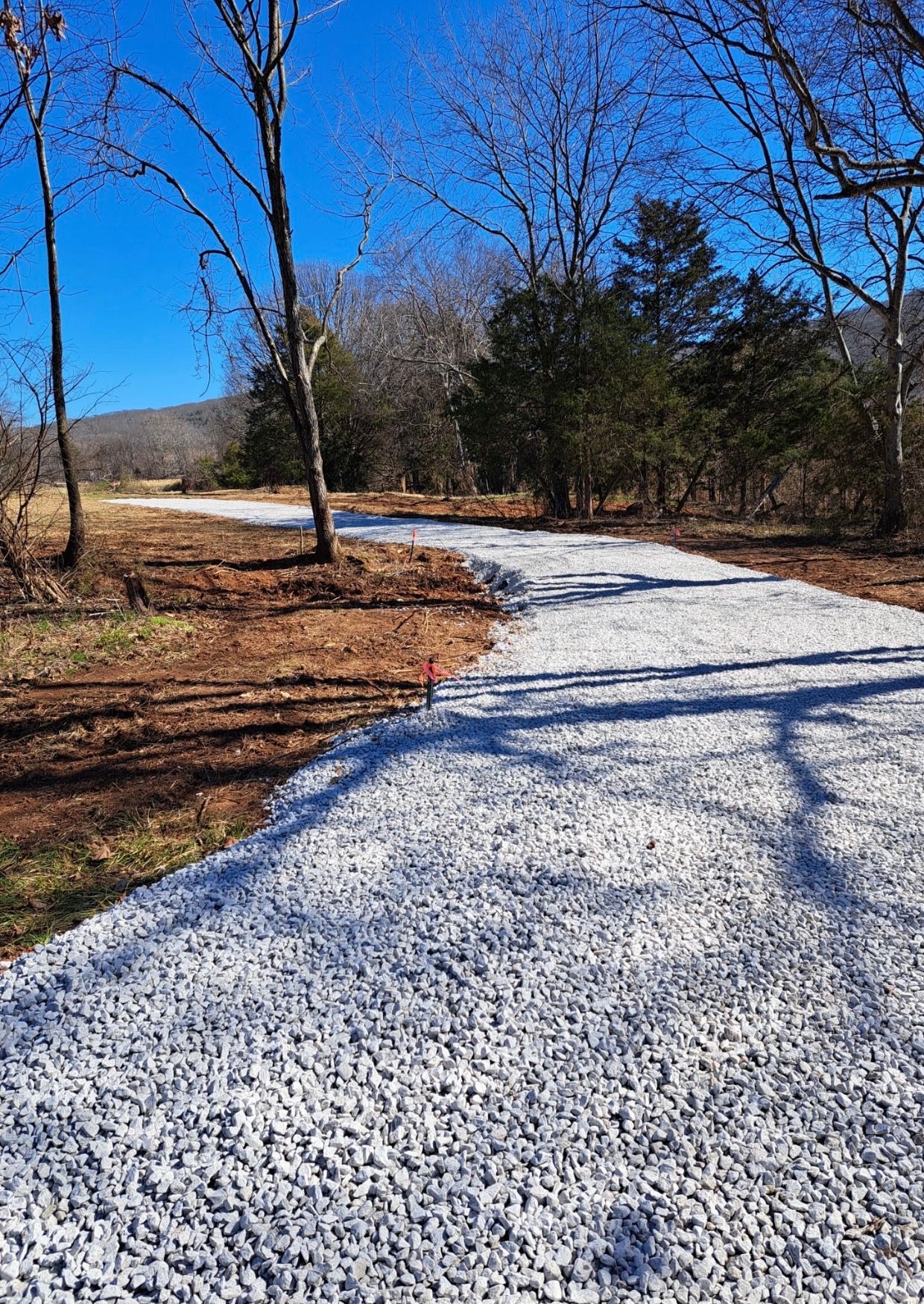 A gravel driveway curves through a wooded area on a sunny day.