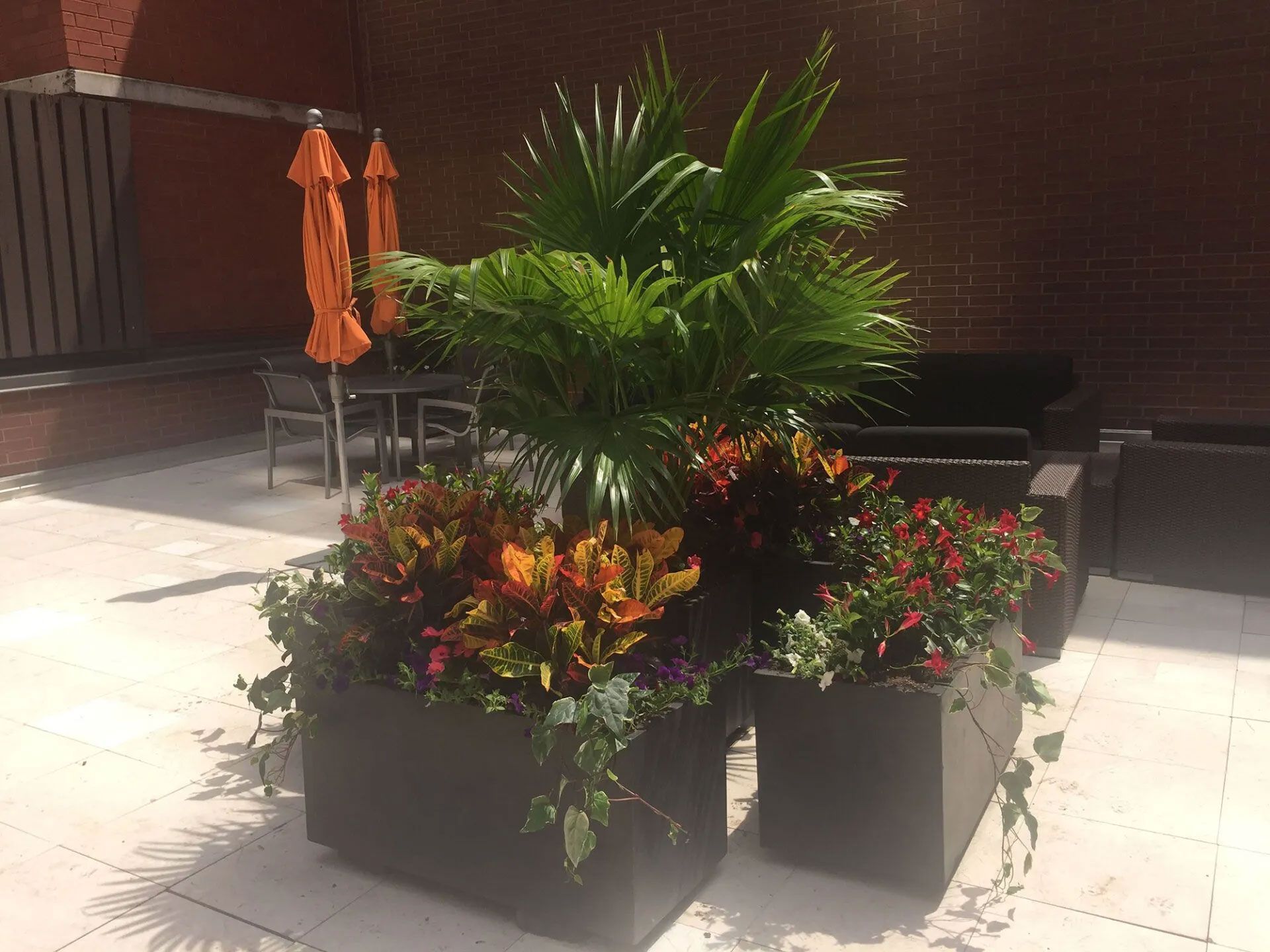 A planter filled with flowers and plants on a patio