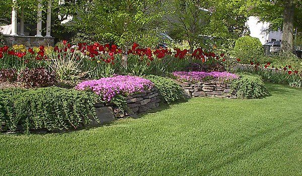 Recent Landscaping Work