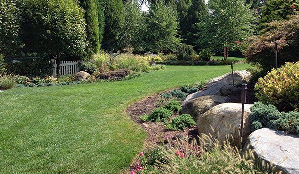 Recent Landscaping Work