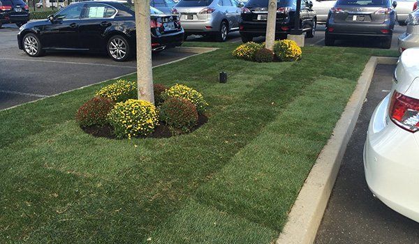 Recent Landscaping Work