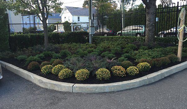 Recent Landscaping Work