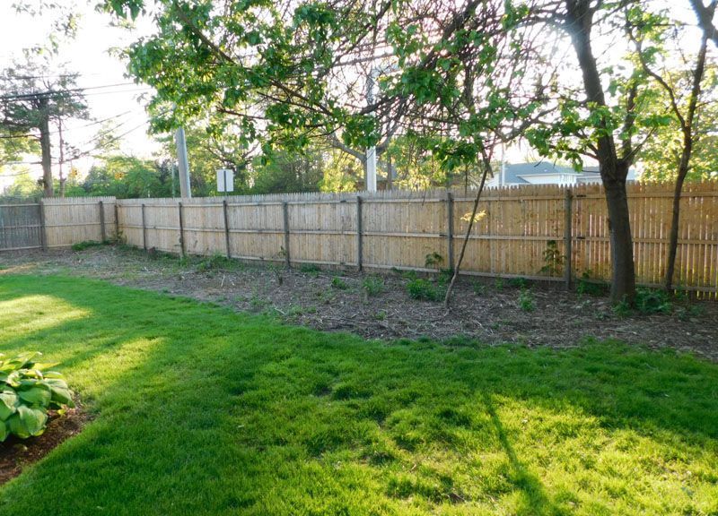 A backyard with a wooden fence and trees in the background