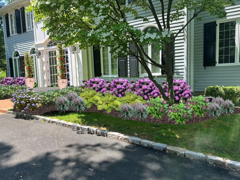 A white house with purple flowers in front of it
