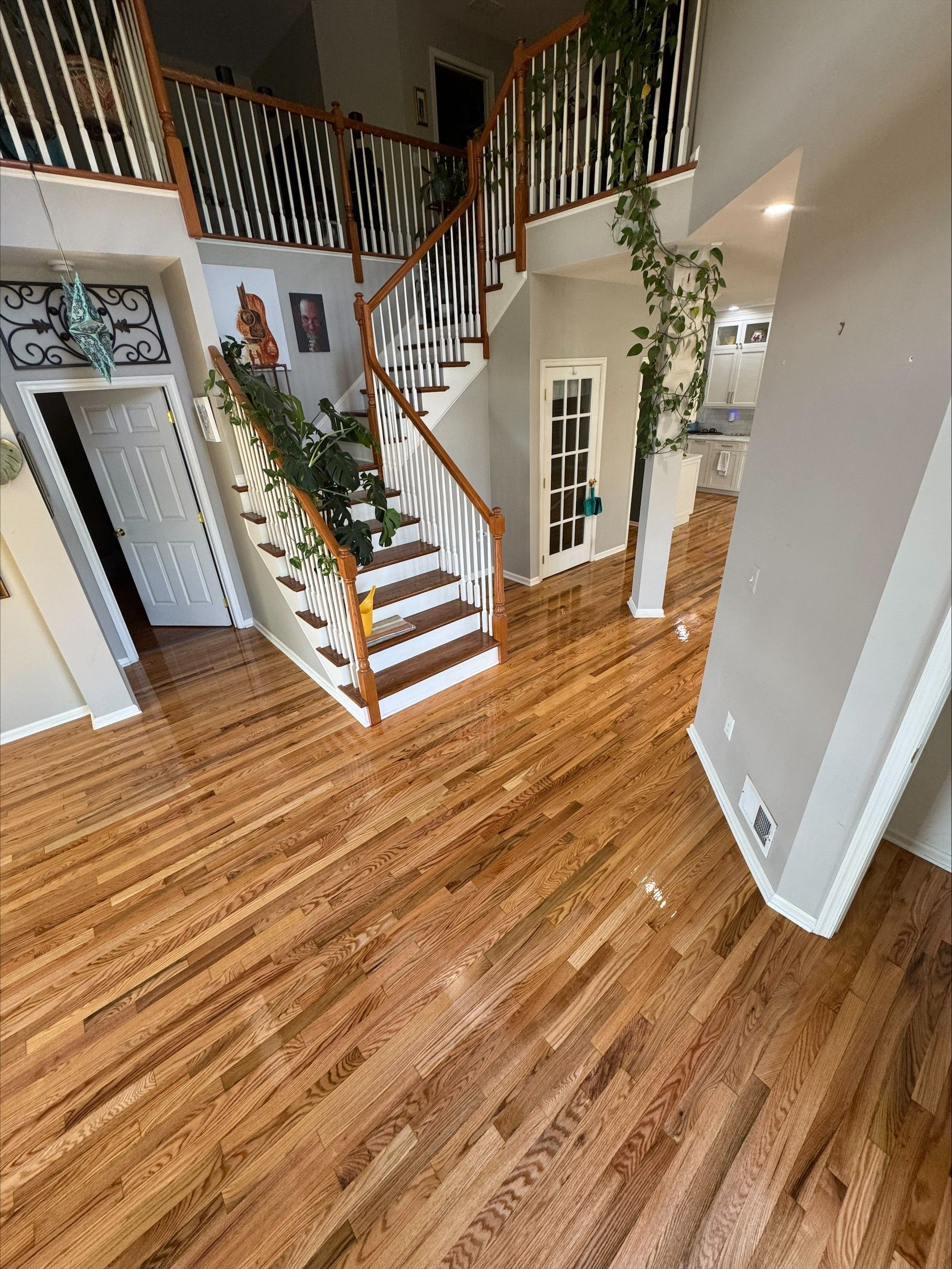Bright foyer with wood floors, curved staircase, white walls, and hanging greenery.