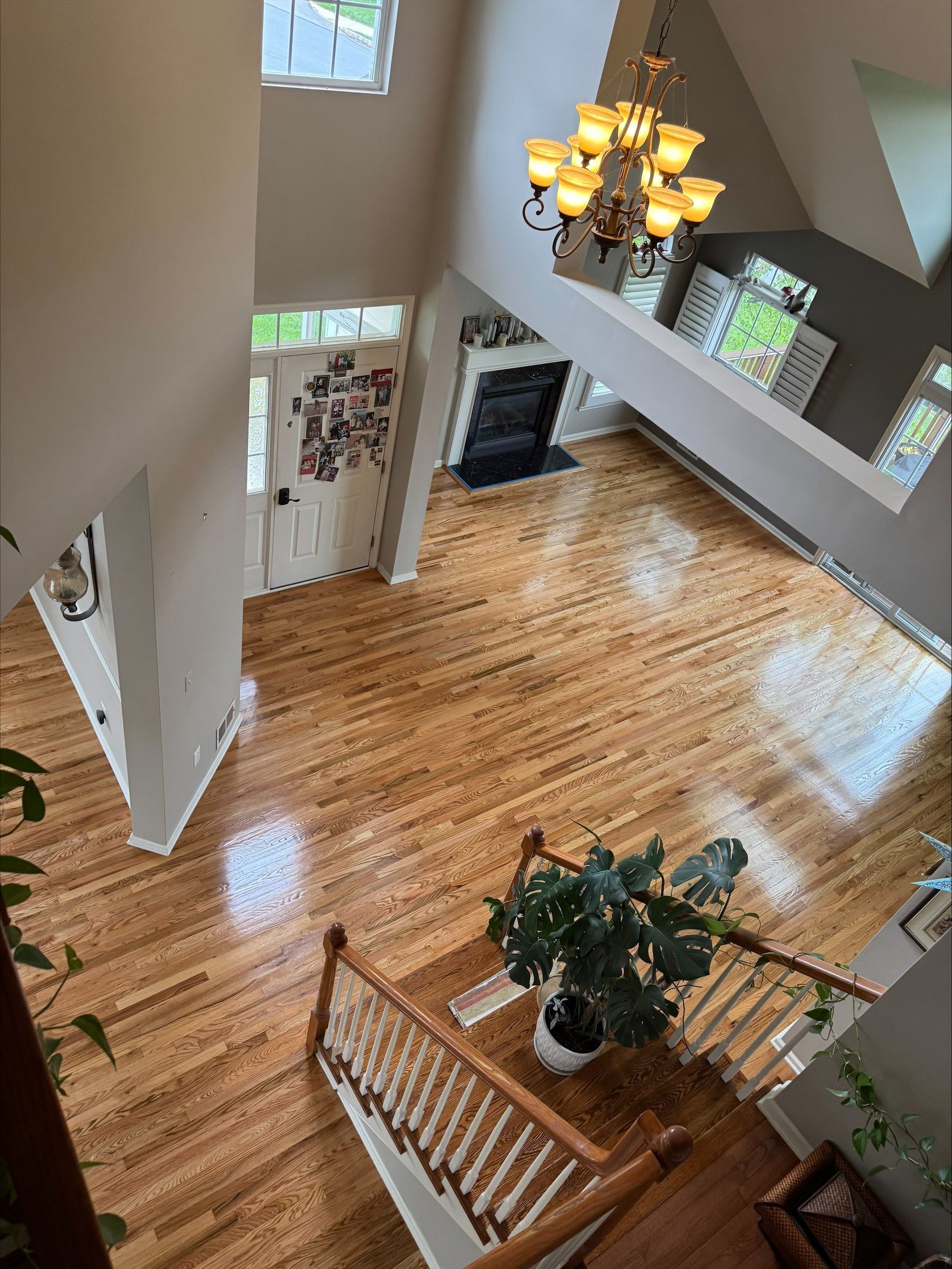 Bright two-story foyer with hardwood floor, staircase, chandelier, and wall of windows.
