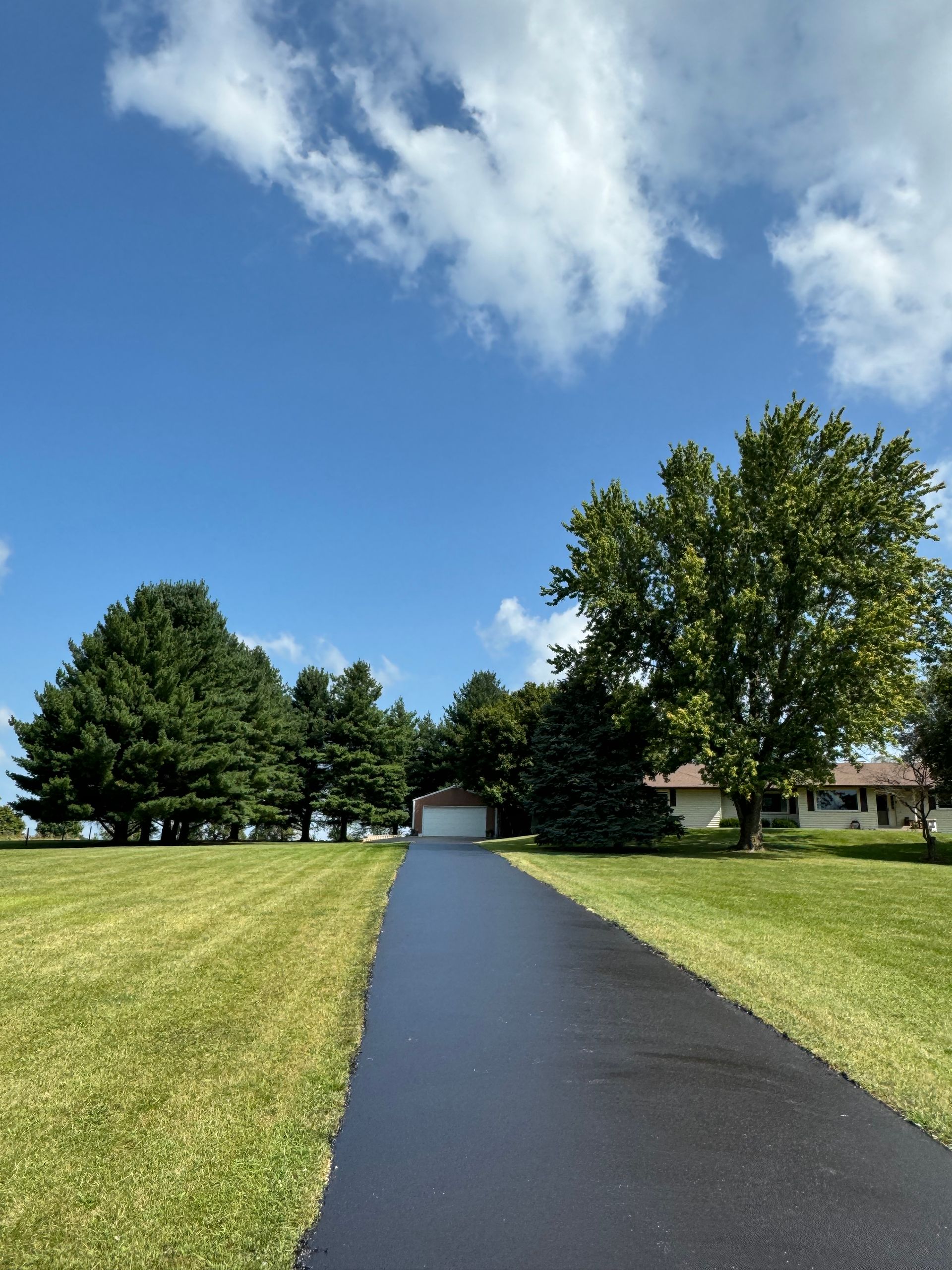 A driveway leading to a house on a sunny day