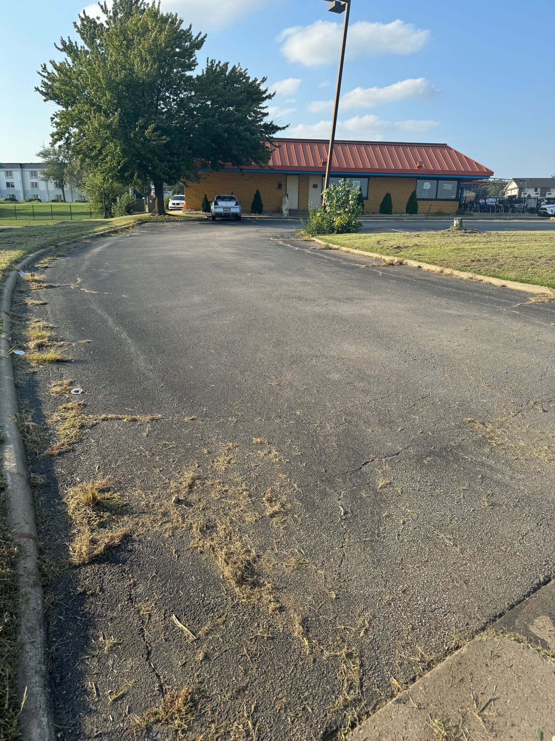 A driveway leading to a house on a sunny day