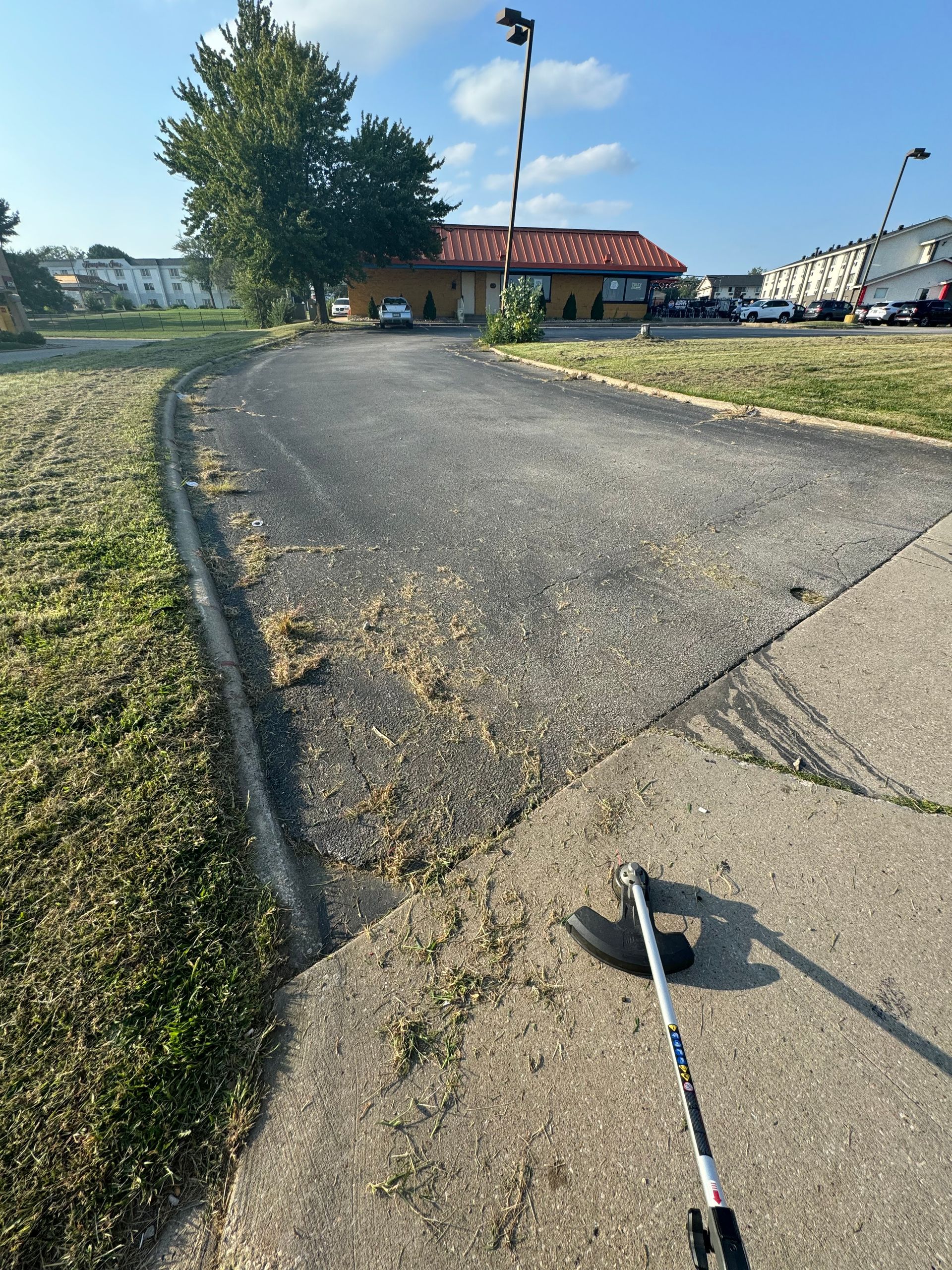 A golf club is laying on the sidewalk next to a road.