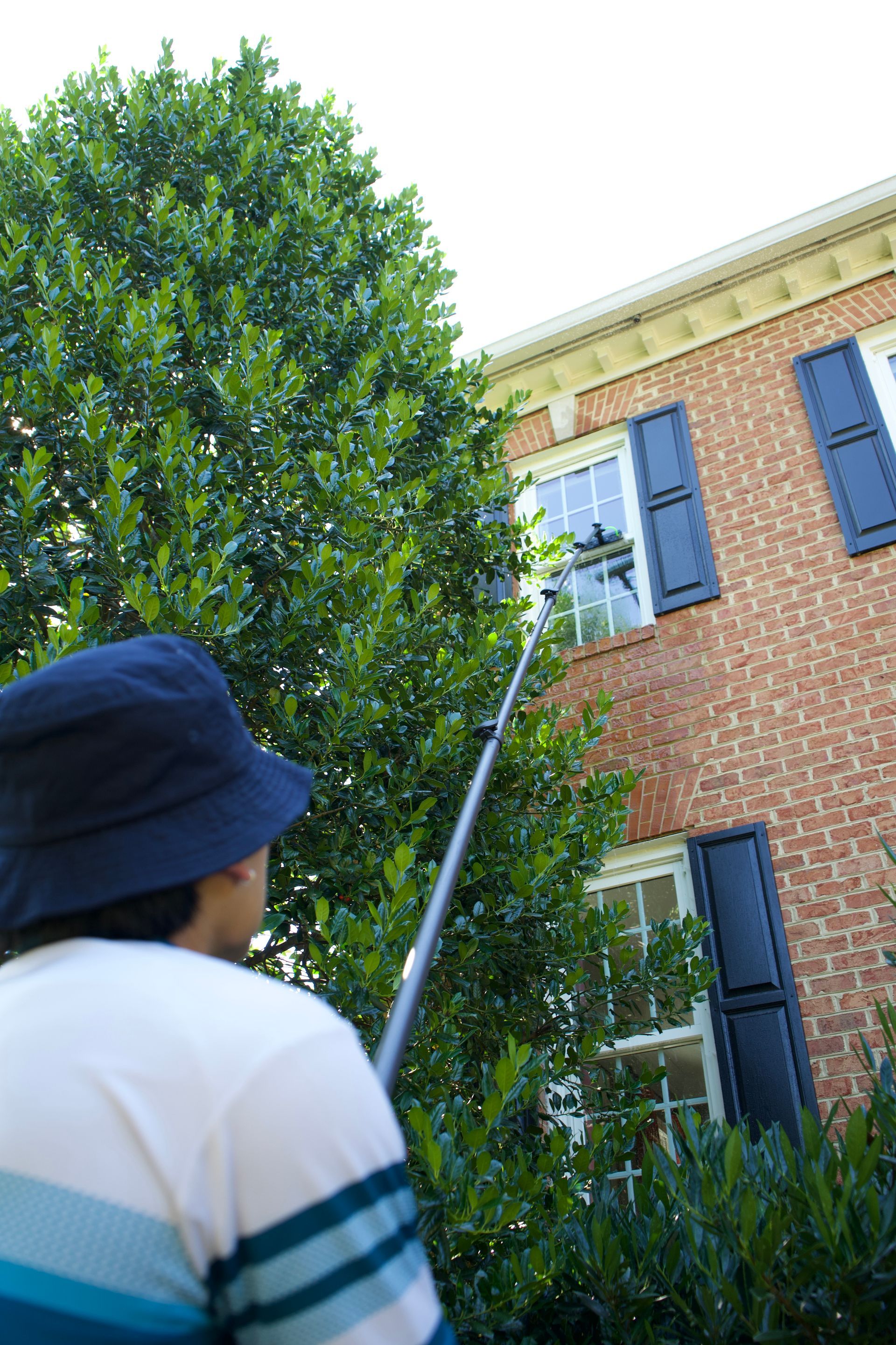 Person in a blue hat looking up at a brick building beside a tall green tree