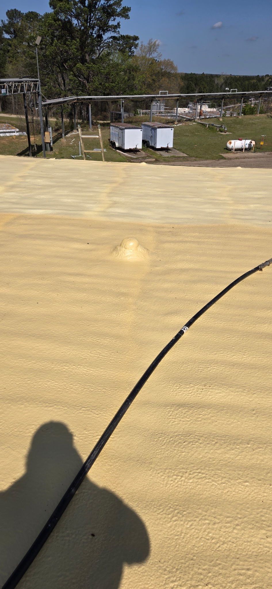 A person is holding a fishing rod in a field.