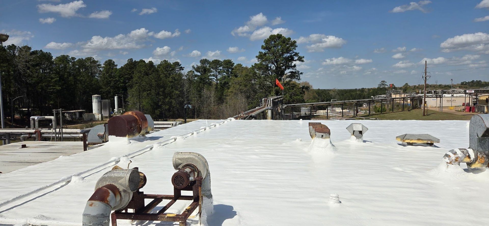 A roof with a white coating on it and trees in the background.