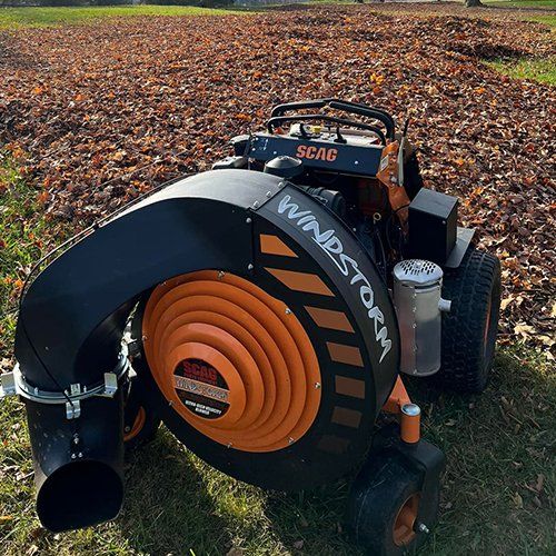 Cleanup the dead leaves