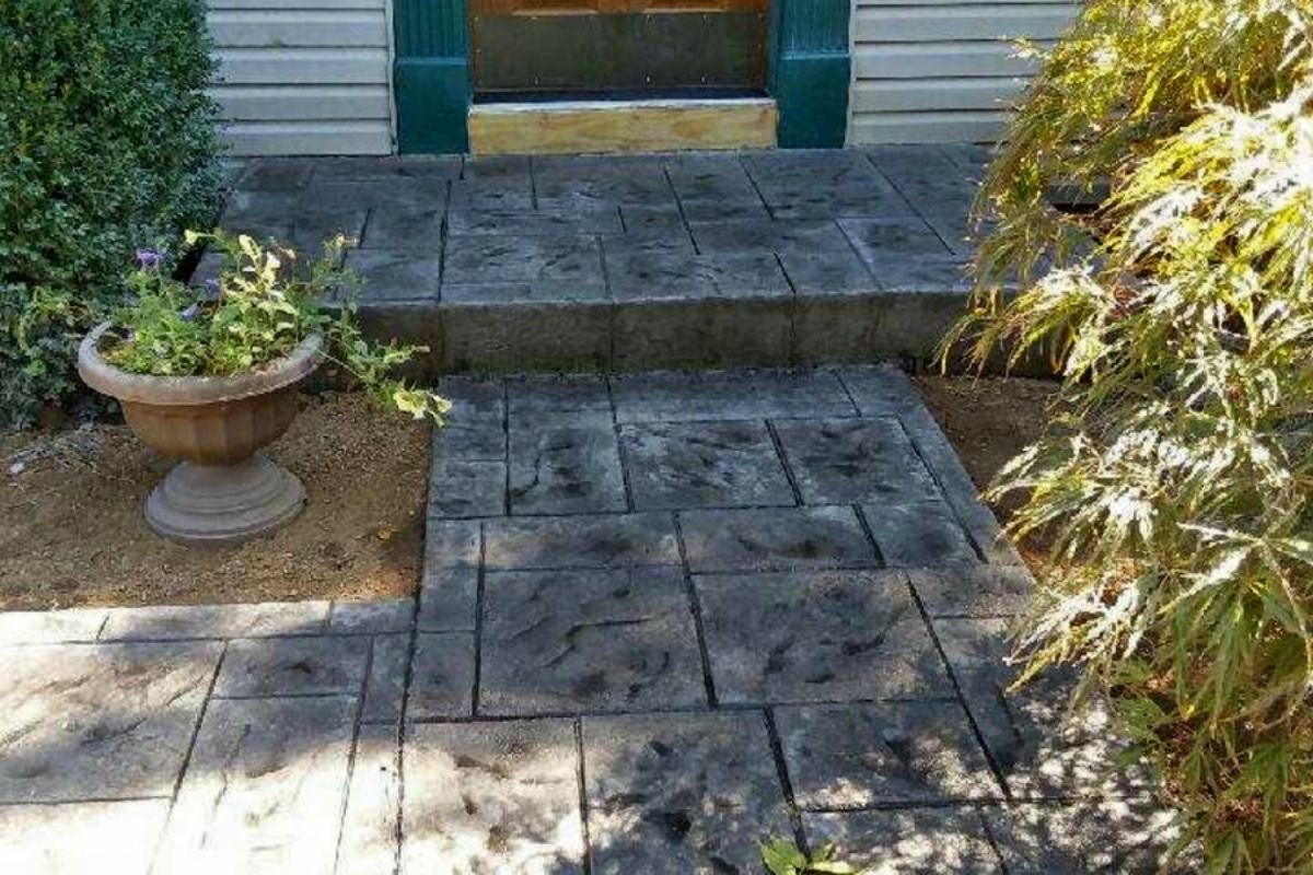 Concrete walkway and steps leading to a door, flanked by plants in an outdoor setting.
