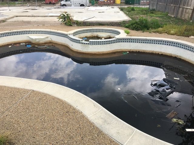 swimming pool that was left to sit for a long time
