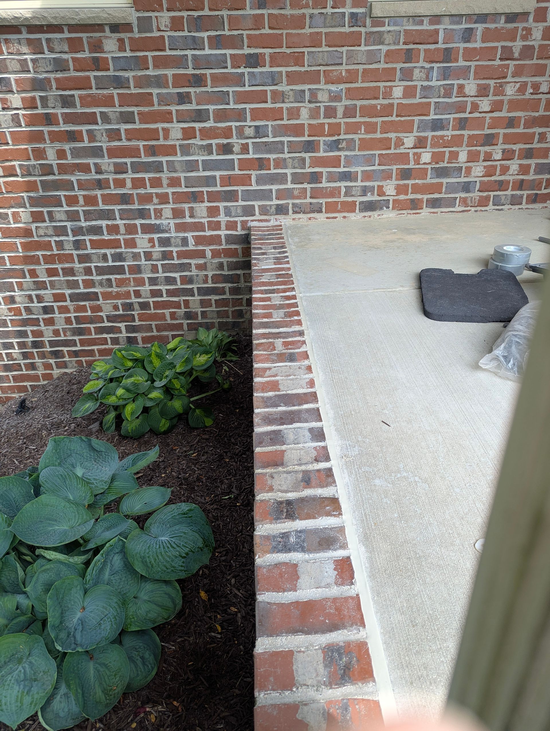 A brick wall runs alongside a concrete patio, with green hosta plants growing in a mulched garden bed below.
