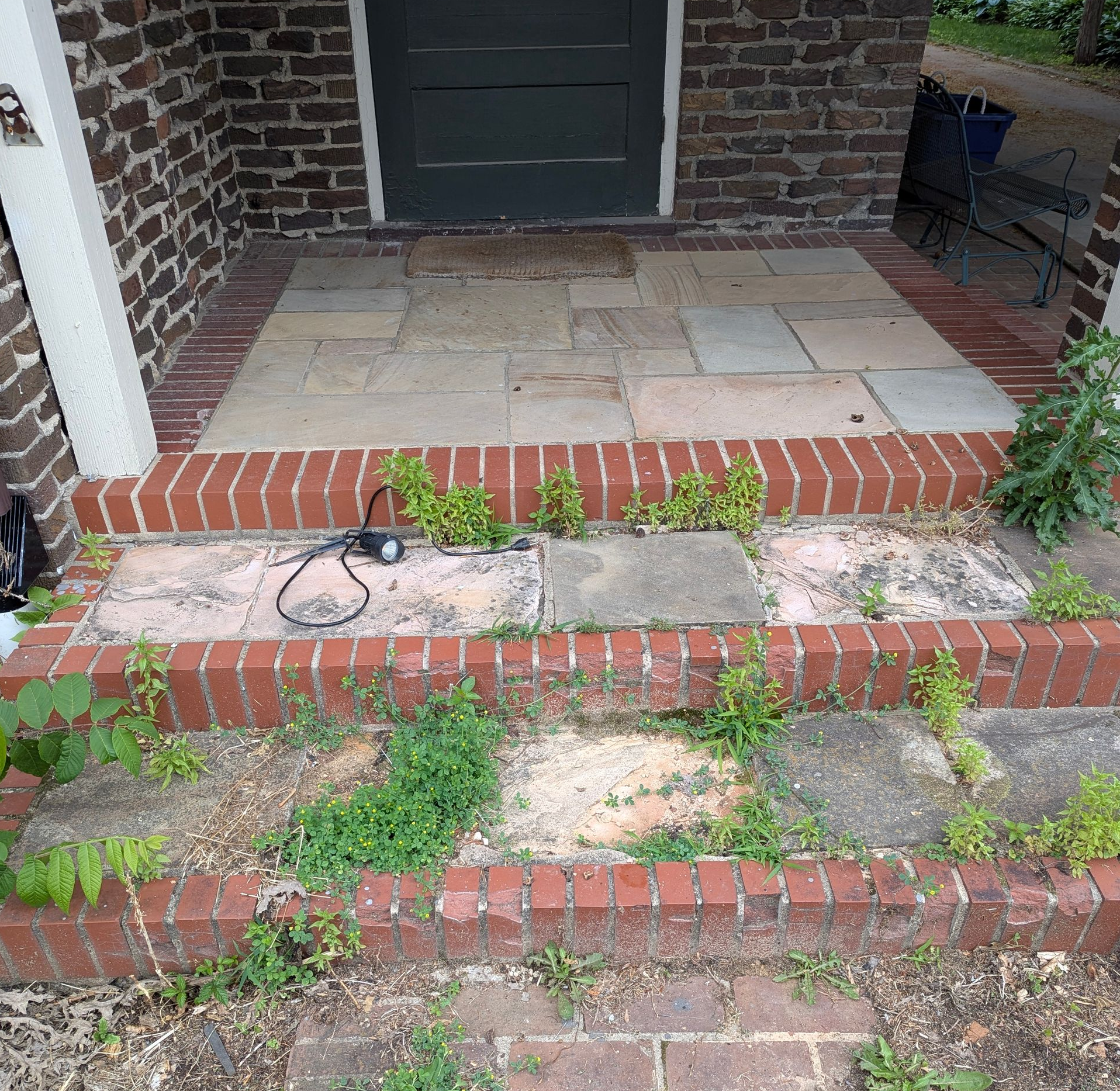 A brick house entrance with three uneven stone steps leading to a dark door, showing significant weed growth in the gaps.