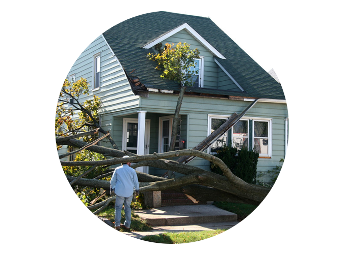 storm damage cleaning