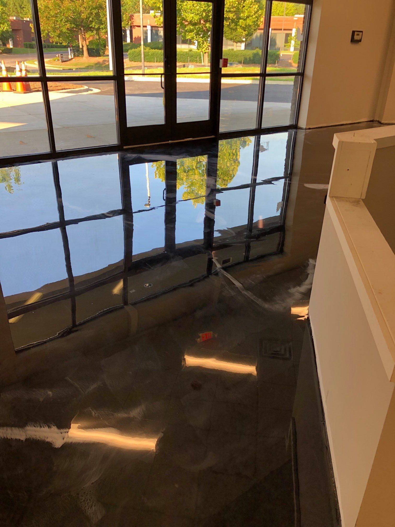 A room with a lot of windows and a reflection of trees