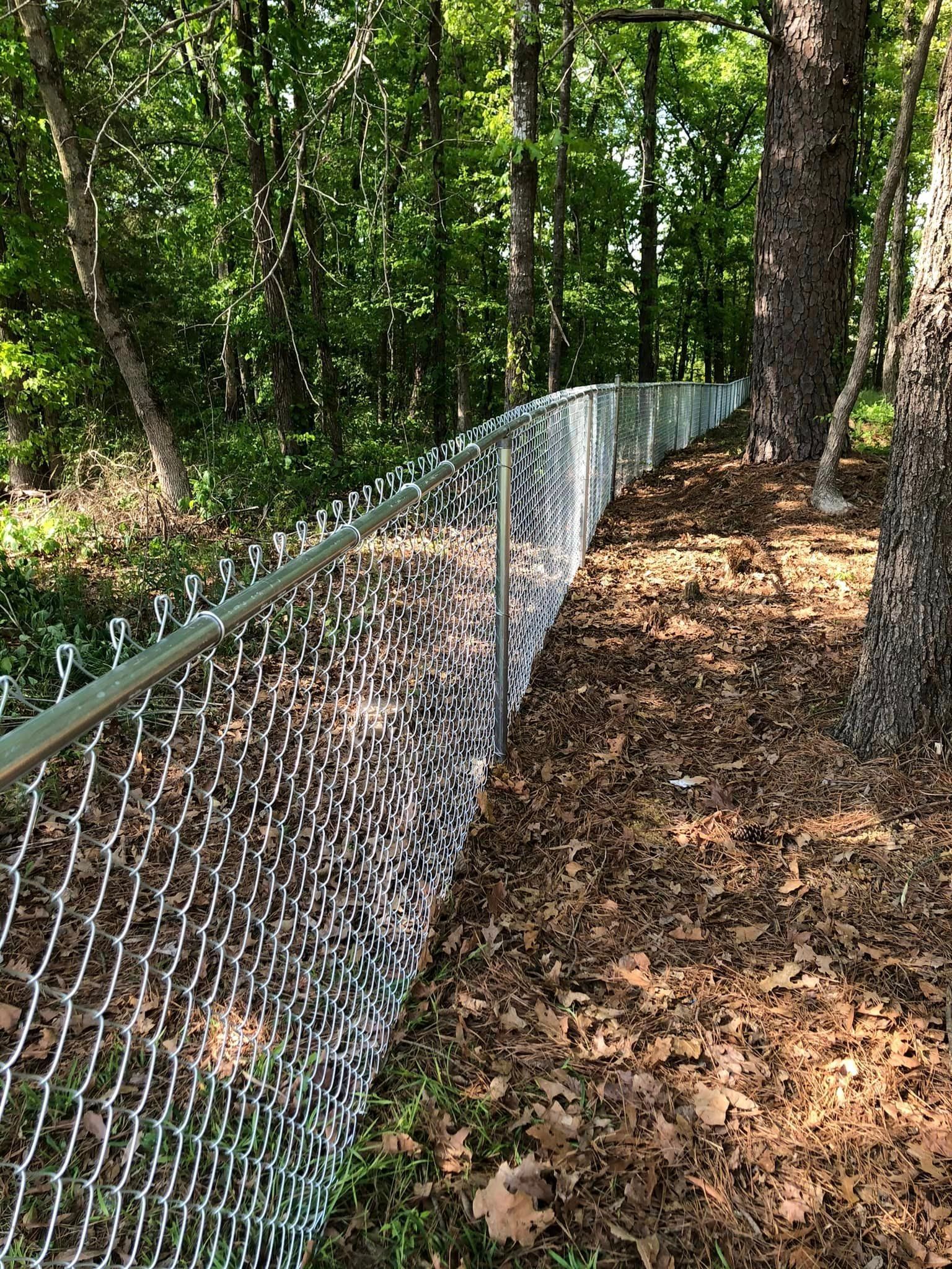 A chain link fence surrounds a path in the woods.