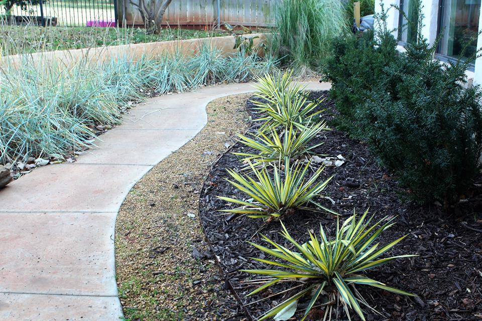A concrete walkway with a row of plants on the side of it.