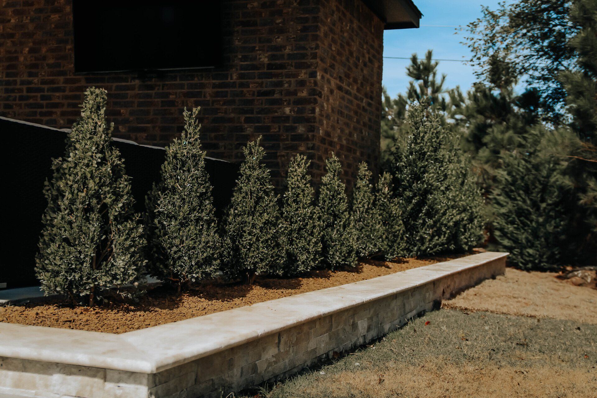 A brick house with a walkway and trees in front of it.