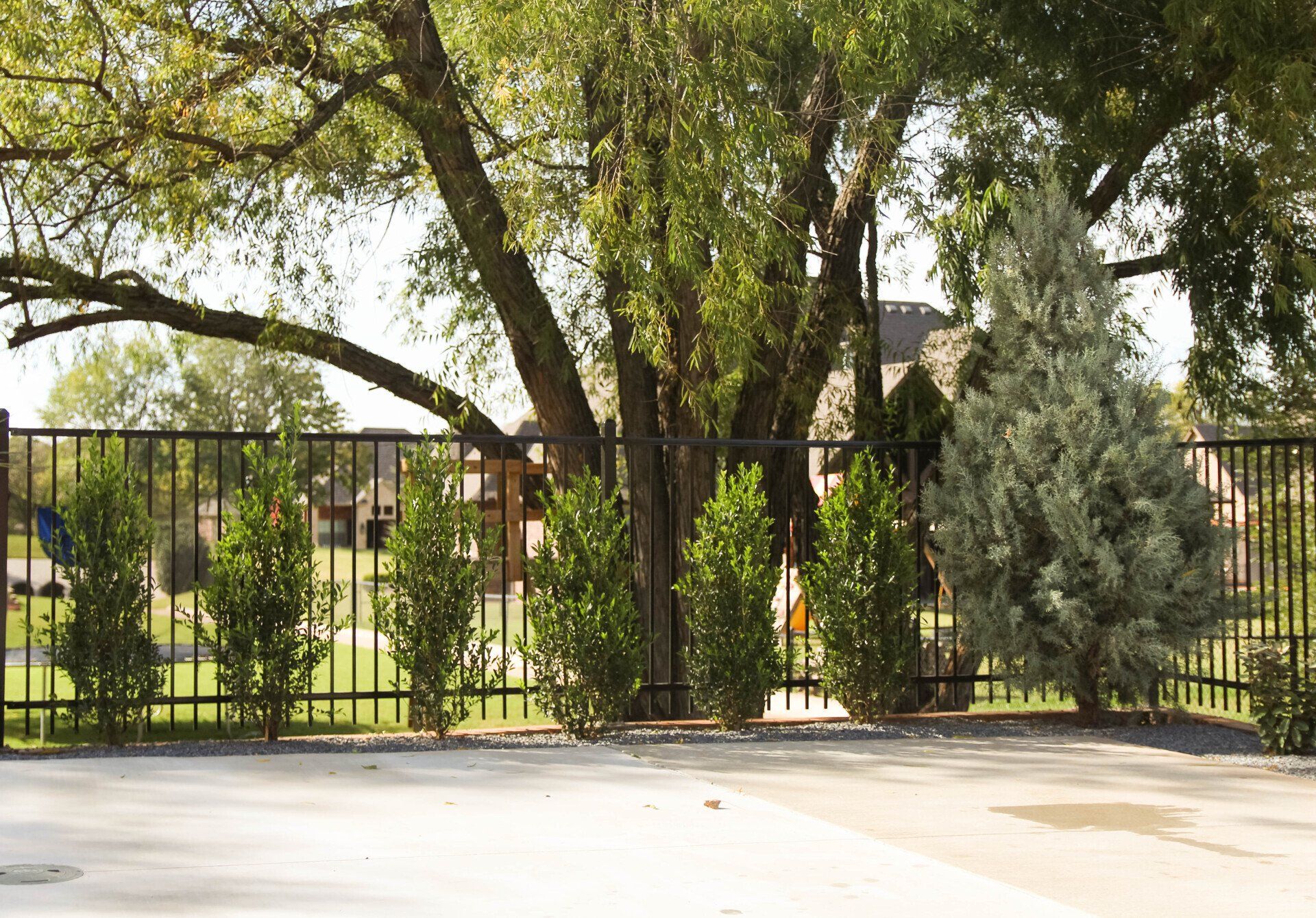 A fence with trees and bushes in front of it
