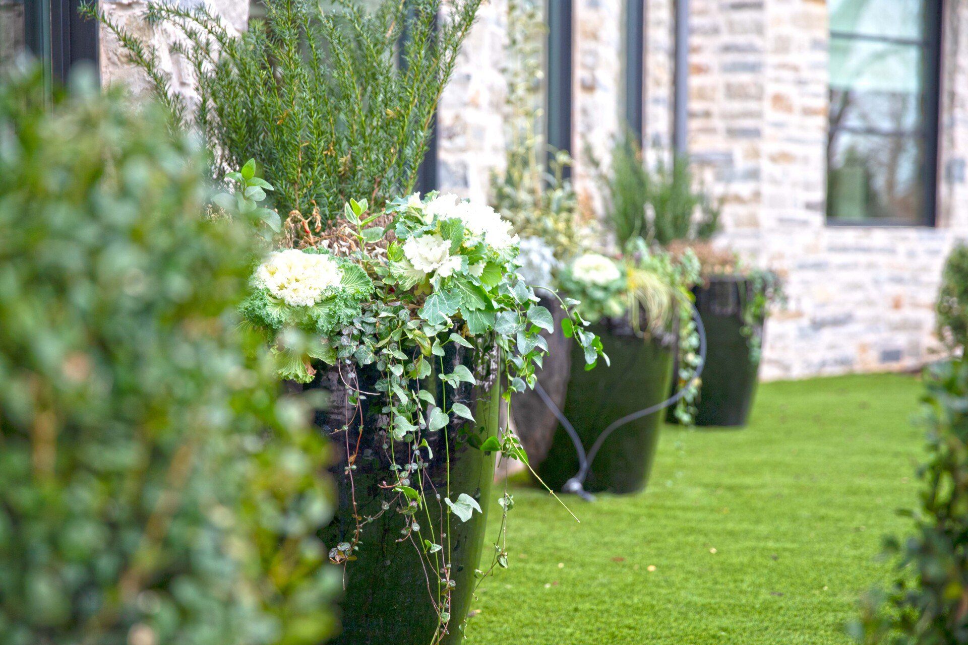 A row of potted plants sitting on top of a lush green lawn in front of a brick building.