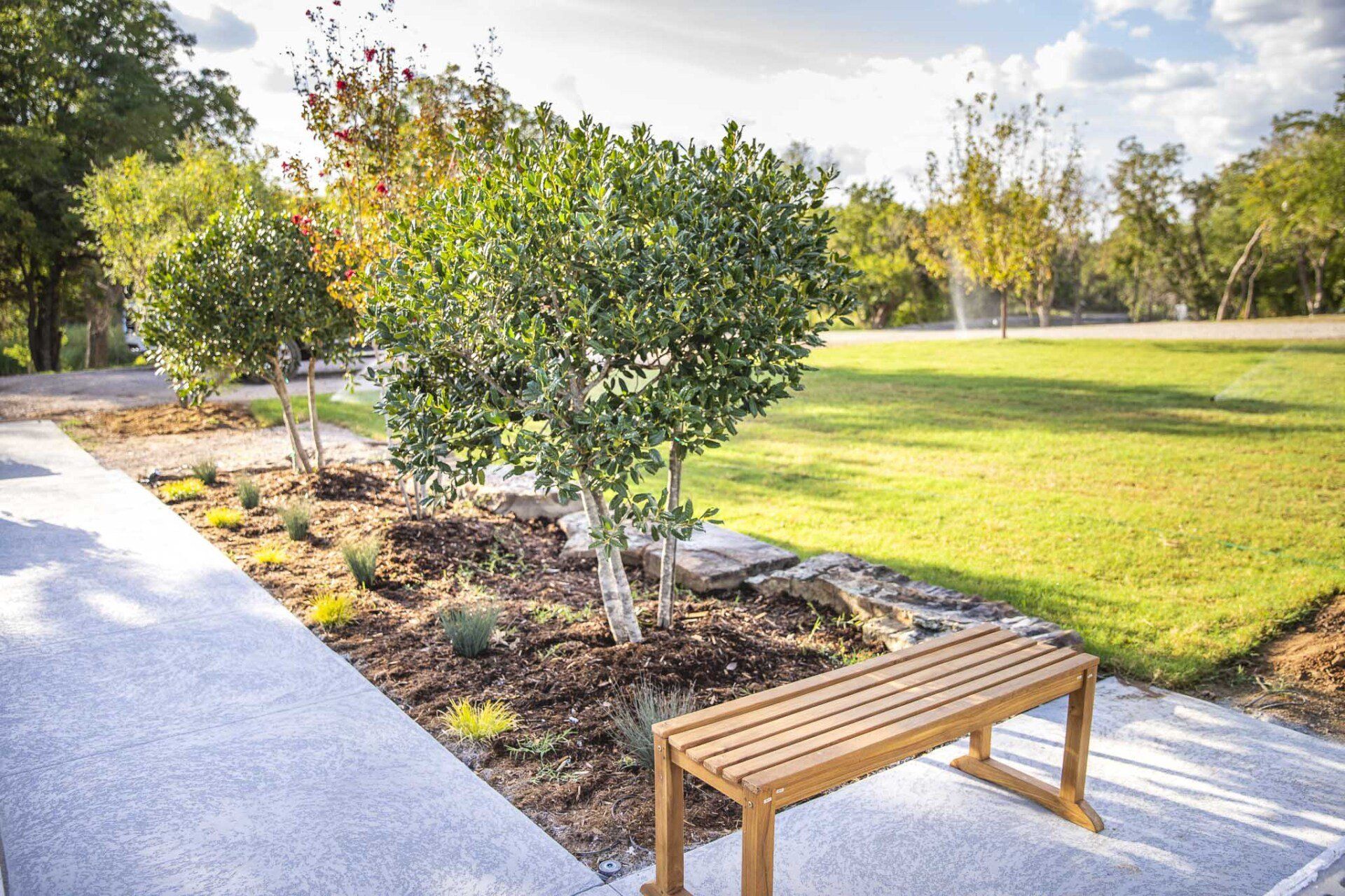 A wooden bench is sitting next to a tree in a park.