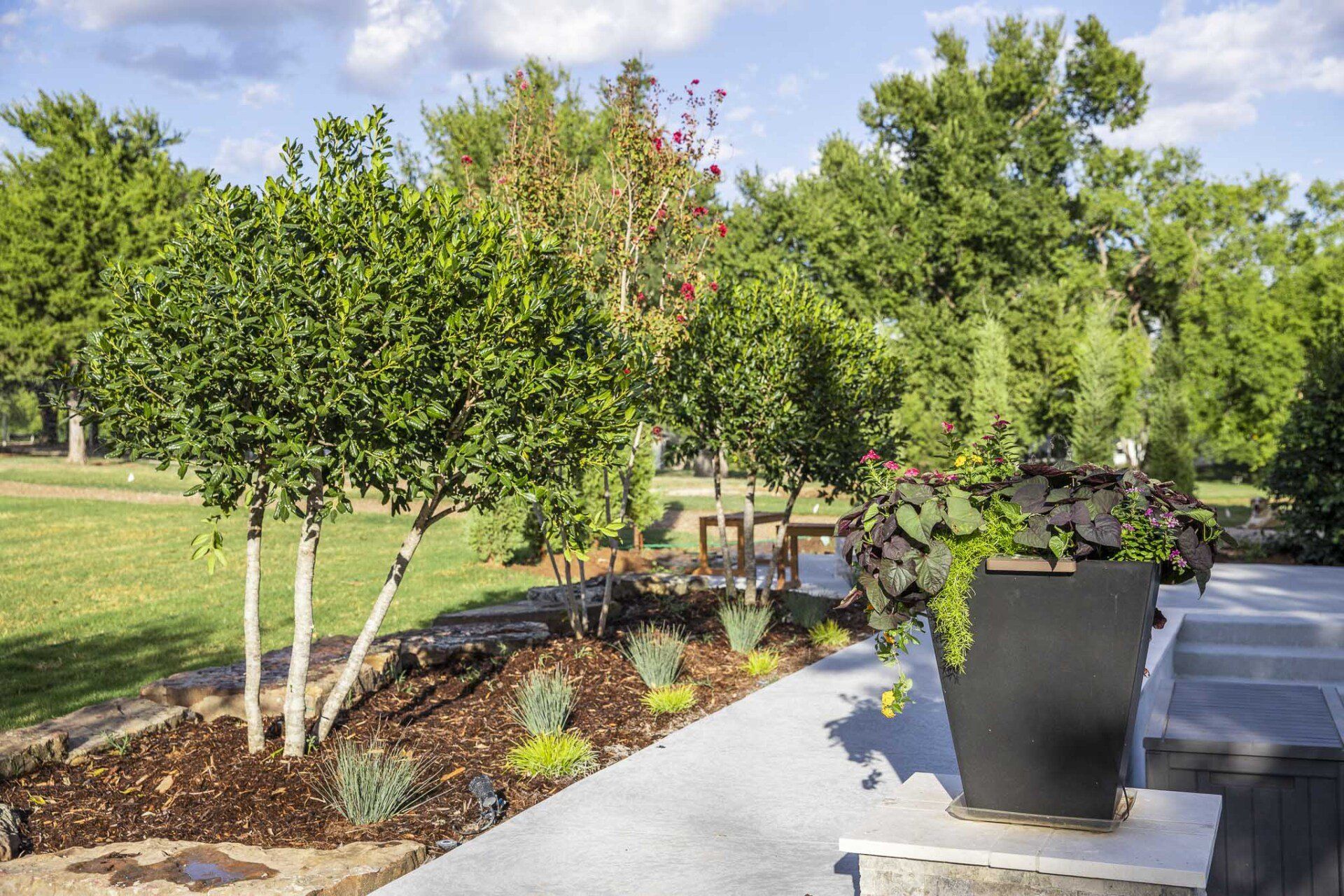 A patio with trees and a potted plant in the middle of it.