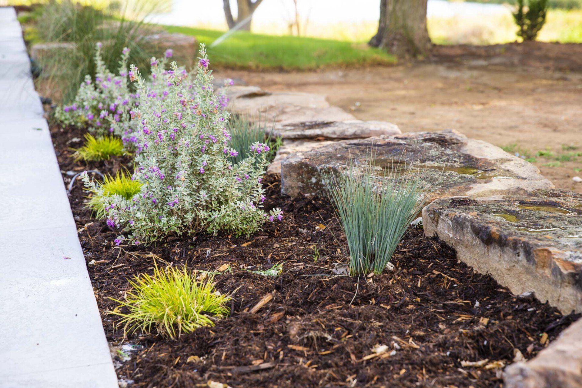 A garden with flowers and rocks next to a sidewalk.