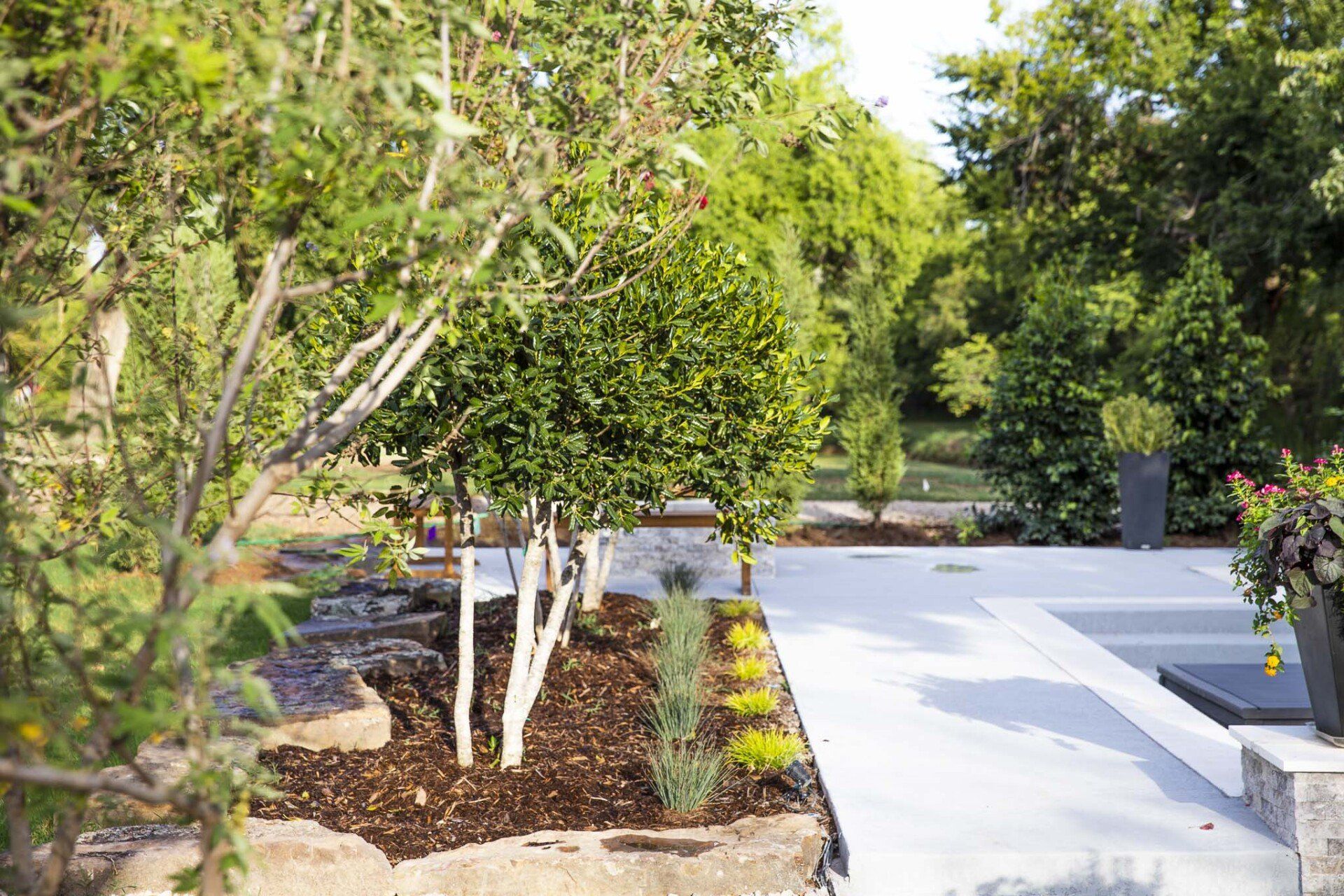 A concrete walkway surrounded by trees and bushes in a garden.