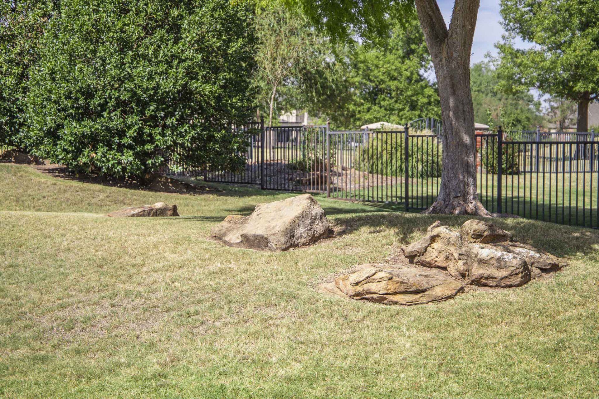 A fence surrounds a grassy area with rocks and trees.