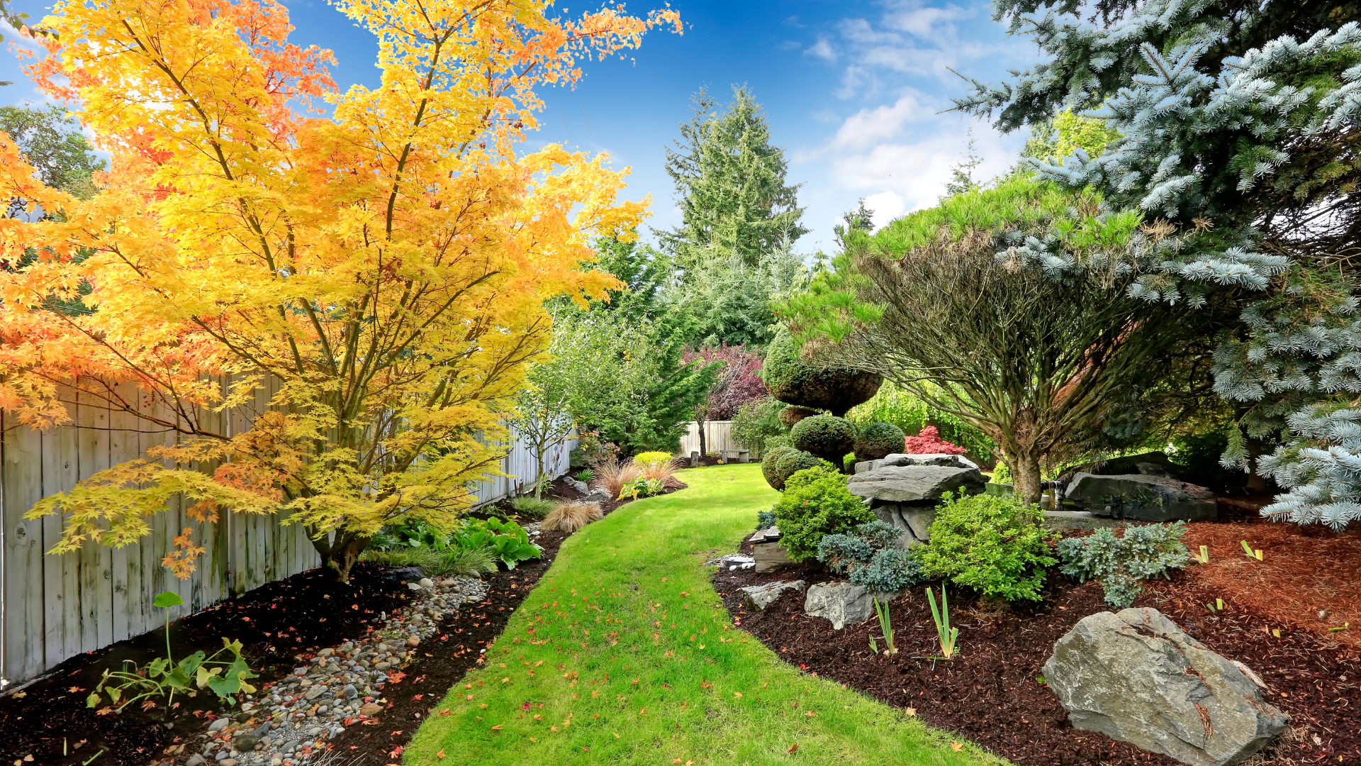 A lush green backyard filled with lots of trees and rocks.