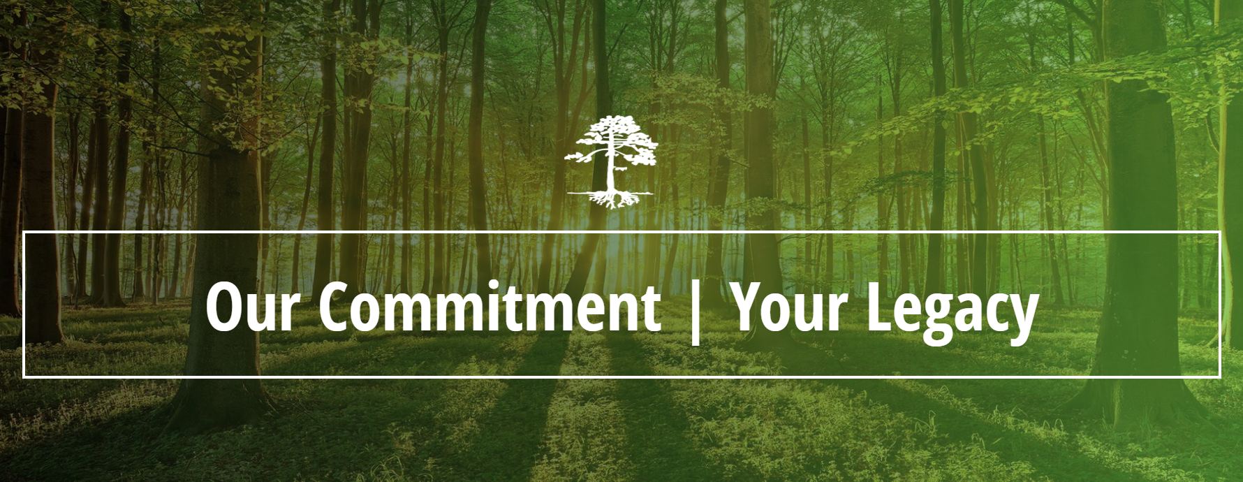 Green forest scene with text