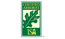 Certified Arborist logo: green rectangle with 