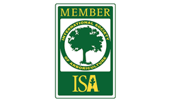 ISA member logo: green rectangle with 