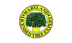 Maryland Licensed Tree Expert logo: green tree inside yellow circle with black text.