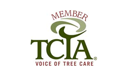 TCIA member logo, green text and tree graphic, burgundy 