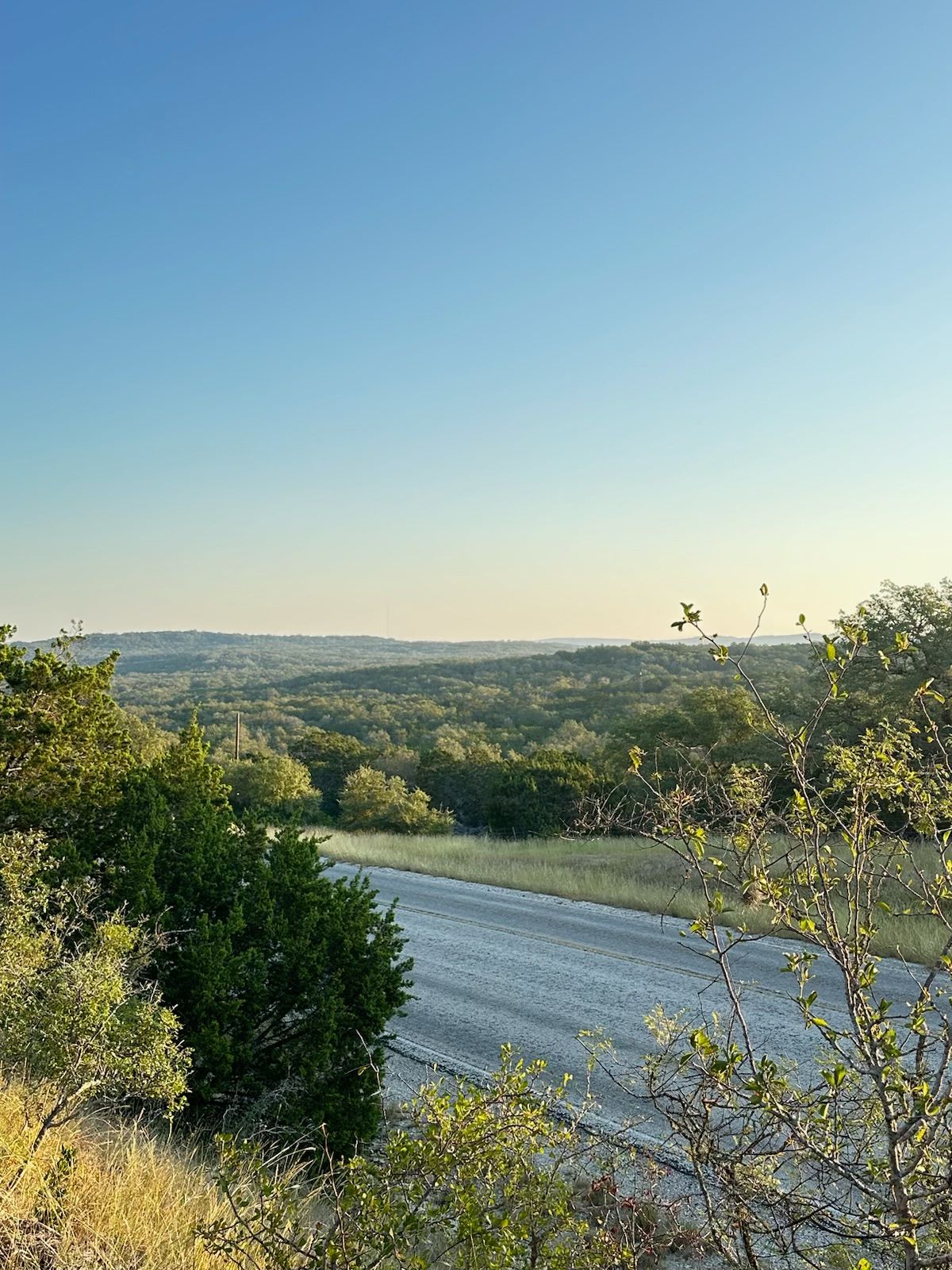 A view of a road going through a lush green valley surrounded by trees.