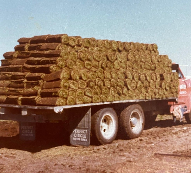 A person wearing work gloves kneels on the ground, carefully unrolling a fresh strip of green sod onto prepared soil.