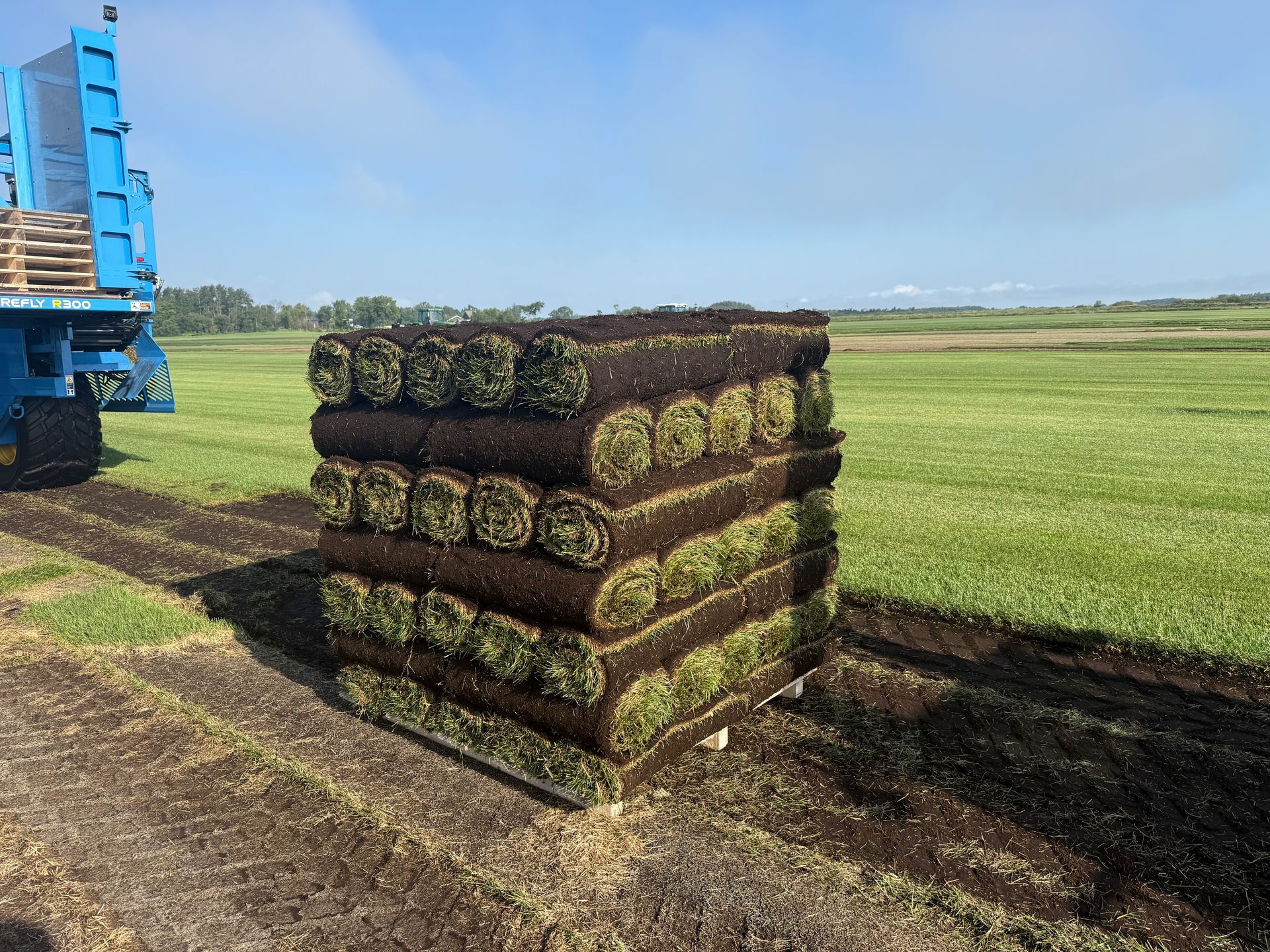 A pallet of rolled sod blocks sitting on a dark soil field next to a blue harvesting machine under a clear blue sky.