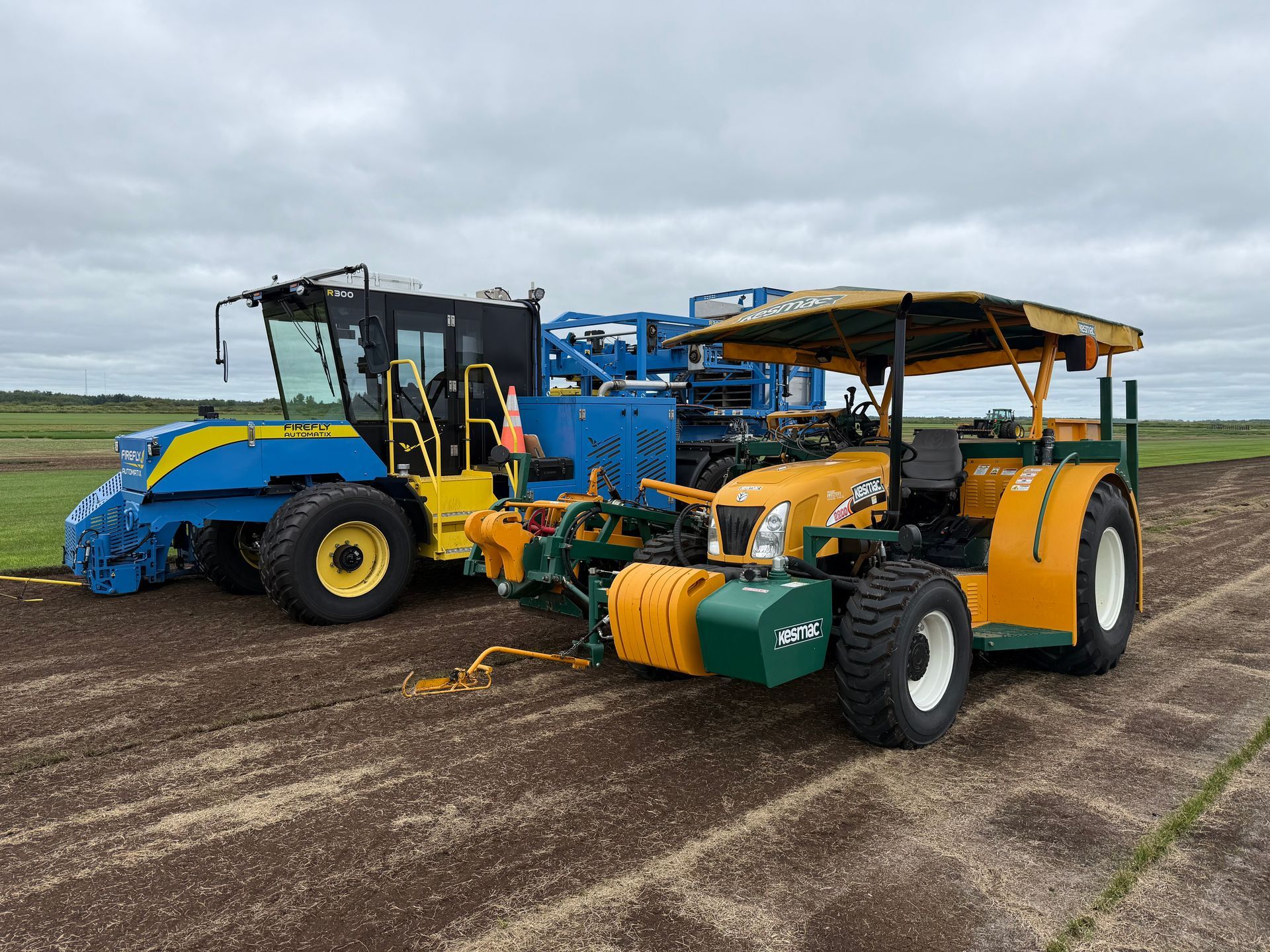 A blue and yellow agricultural harvester parked beside a yellow open-cab utility tractor on a brown field.